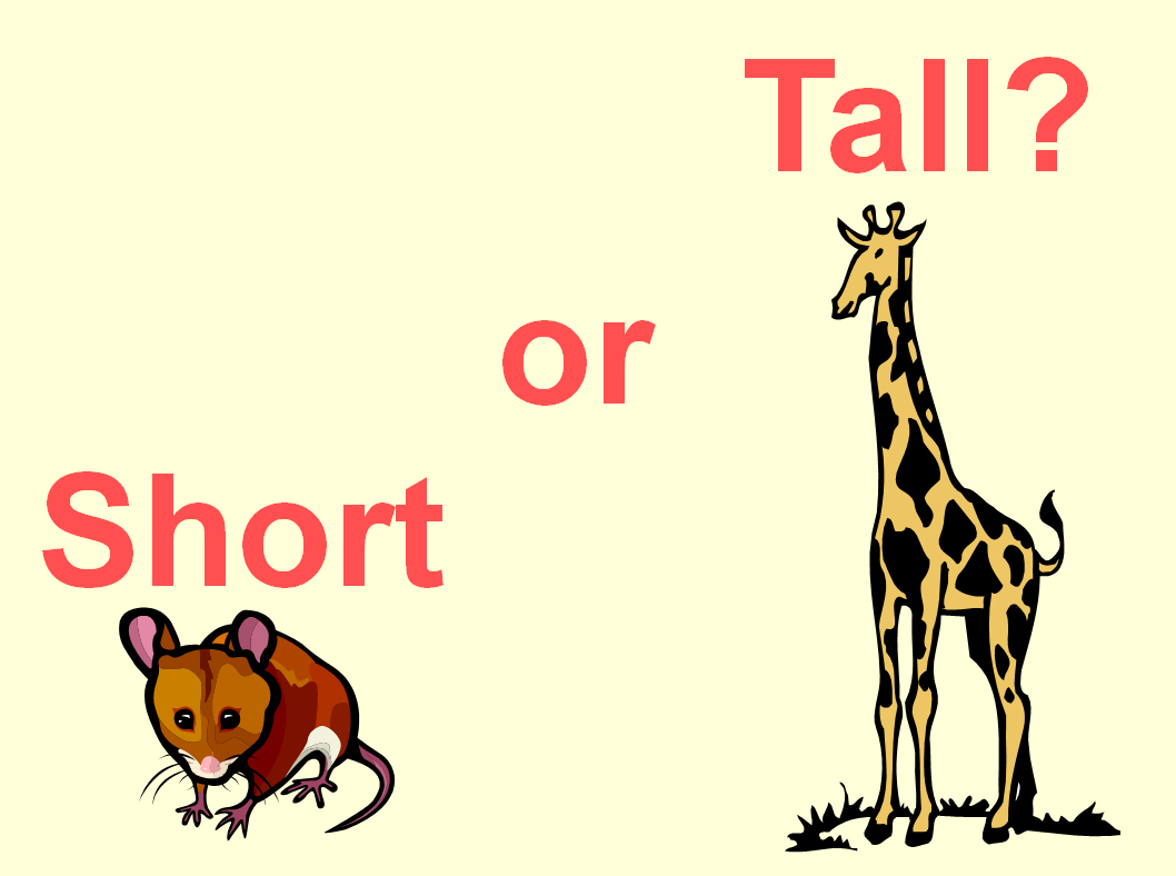 Opposites short. Tall short. Short Tall для детей. Картинки Tall short. Tall рисунок.